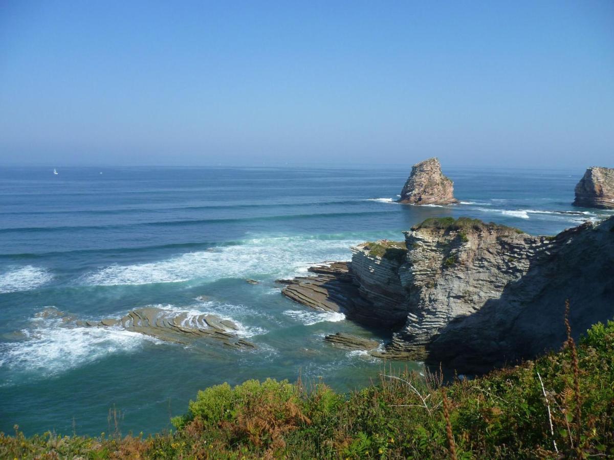 Hendaye-Plage A 200M De La Plage Daire Dış mekan fotoğraf